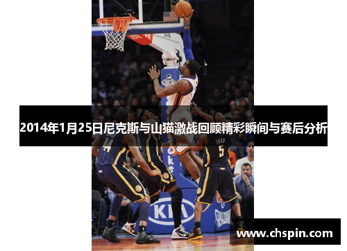 2014年1月25日尼克斯与山猫激战回顾精彩瞬间与赛后分析